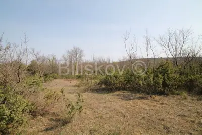 Prapatnica, land 2.5ha with ruined stone buildings, for sale - 11