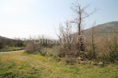 Prapatnica, land 2.5ha with ruined stone buildings, for sale - 13