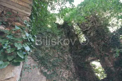 Prapatnica, land 2.5ha with ruined stone buildings, for sale - 6