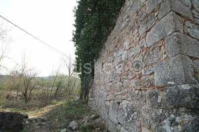 Prapatnica, land 2.5ha with ruined stone buildings, for sale - 5