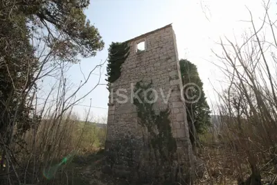 Prapatnica, land 2.5ha with ruined stone buildings, for sale - 4