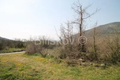 Prapatnica, zemljište s kamenim objektima 2,5 ha. - 13