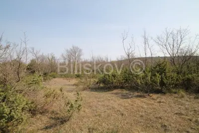Prapatnica, zemljište s kamenim objektima 2,5 ha. - 11