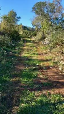 - Poljoprivredna parcela 2600 m², 2km od Duge uvale - - 2