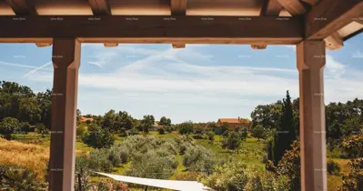 Luxury Istrian stone villa with a pool in Tuscan style, Rovinj! - 4