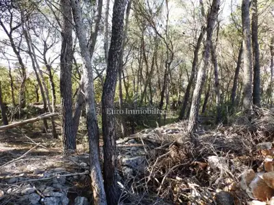 Građevinsko zemljište 12.074 m², Dubrava kod Šibenika - 3