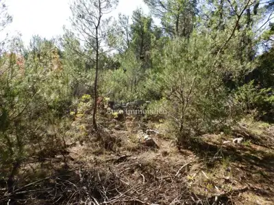 Građevinsko zemljište 12.074 m², Dubrava kod Šibenika - 4