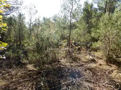 Građevinsko zemljište 12.074 m², Dubrava kod Šibenika - 5