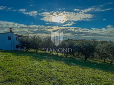 Baugrundstück 1.240 m², Vižinada - offener Blick - 4