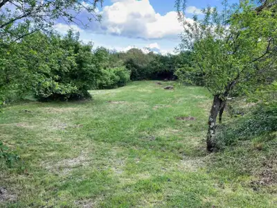 Građevinsko zemljište 1 137 m², Kanfanar, prilazni put - 3