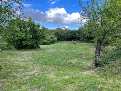 Građevinsko zemljište 1 137 m², Kanfanar, prilazni put - 5