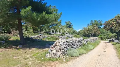 Agricultural land, Osor - 300 m from the sea - 10