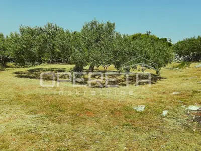 Zemljište 4.834 m², Splitska - blizu mora i centra - 4