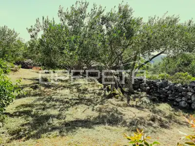 Zemljište 4.834 m², Splitska - blizu mora i centra - 8