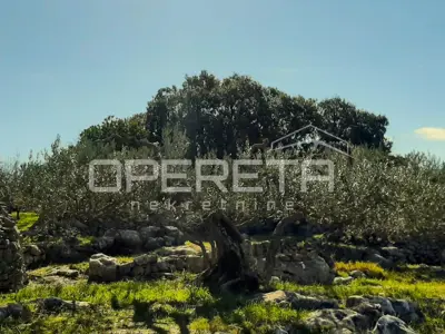 Zemljište 4.834 m², Splitska - blizu mora i centra - 10