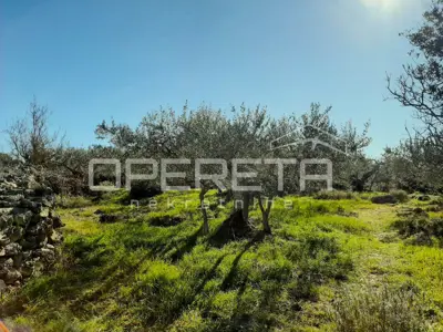 Zemljište 4.834 m², Splitska - blizu mora i centra - 7