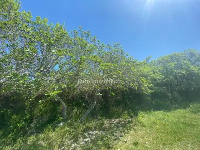 Građevinsko zemljište prvi red do mora, Ražanac - 4