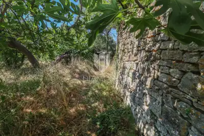 Istrian estate with several stone houses and great investment potential - 7