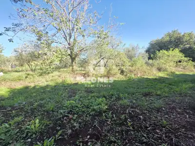 Građevinsko zemljište 1.356 m², Brtonigla - pravilnog oblika - 3