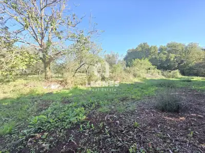 Građevinsko zemljište 1.356 m², Brtonigla - pravilnog oblika - 2
