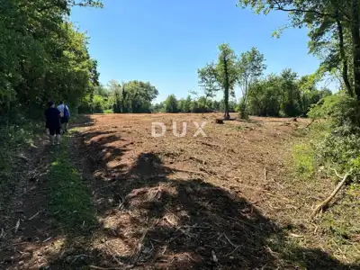 Agricultural land, Muntić - landscaped plot and natural shade