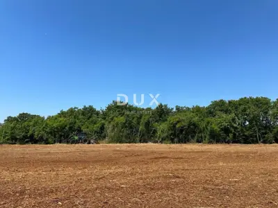 Agricultural land, Muntić - landscaped plot and natural shade - 3