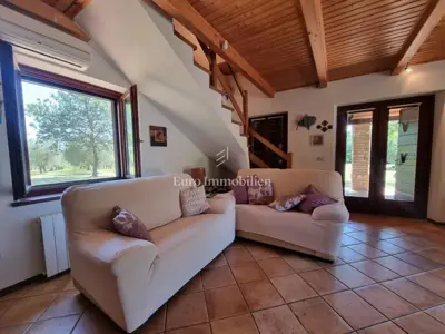Kuća 140 m², Poreč - veliko imanje i maslinik - 7