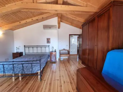 Kuća 140 m², Poreč - veliko imanje i maslinik - 15