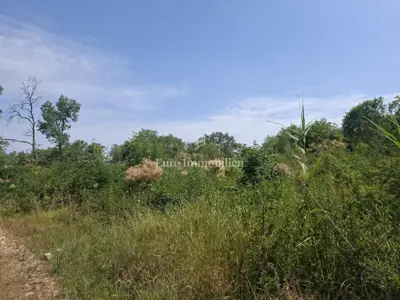 Baugrundstück 5.954 m², Umag - nahe der Grenze - 4