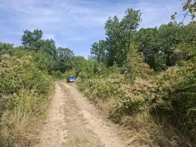 Baugrundstück 5.954 m², Umag - nahe der Grenze - 3