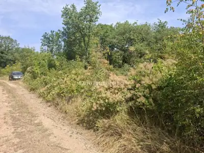 Građevinsko zemljište 5.954 m², Umag - blizu granice