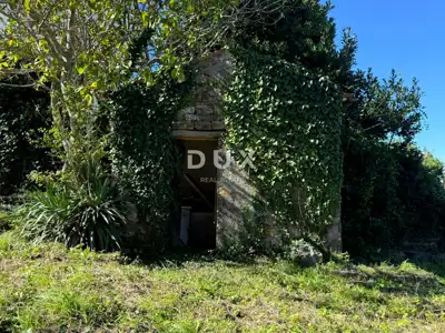 ISTRA, BUJE - Freistehendes Haus zur Anpassung - 9