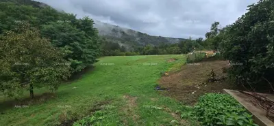 Imanje, Sovinjak kod Buzeta, 52 000 m² i mirna istarska lokacija - 2
