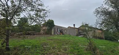 Imanje, Sovinjak kod Buzeta, 52 000 m² i mirna istarska lokacija