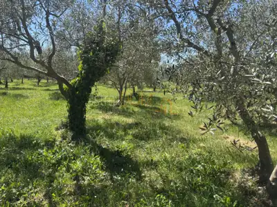 Građevinska parcela 463 m², Šegotići - blizu mora i plaža