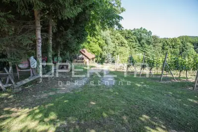 Haus 40.000 m², Kelemen - am Wald und naturnahe Lage - 21