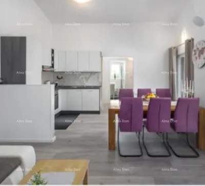 Kuća 366 m², Nova Vas kod Poreča, bazen i vrt - 11