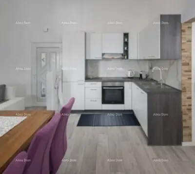 Kuća 366 m², Nova Vas kod Poreča, bazen i vrt - 10