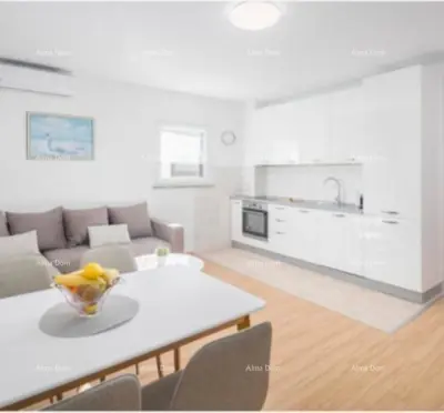 Kuća 366 m², Nova Vas kod Poreča, bazen i vrt - 9