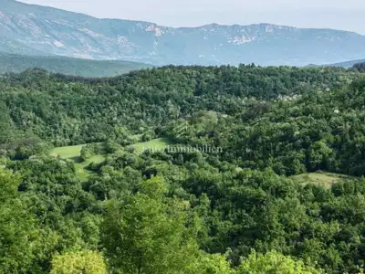 Istarsko selo, Cerovlje - 20 ha, autentična priroda - 19