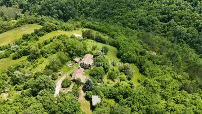 Istarsko selo, Cerovlje - 20 ha, autentična priroda - 12