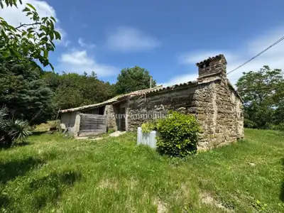 Istarsko selo, Cerovlje - 20 ha, autentična priroda - 7