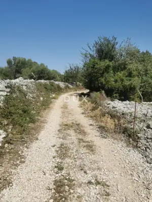 Landwirtschaftsfläche, Krk - an der Hauptverkehrsstraße - 3