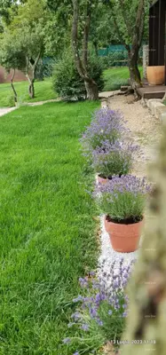 Prodaja- novoizgrađena vila- Barban! - 11