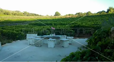 Agricultural estate on the island of Vis, 27,234 m² and restaurant - 8