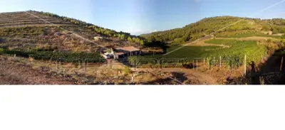 Agricultural estate on the island of Vis, 27,234 m² and restaurant - 16