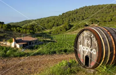 Agricultural estate on the island of Vis, 27,234 m² and restaurant - 19