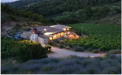Poljoprivredno imanje na otoku Visu, 27.234 m² i restoran
