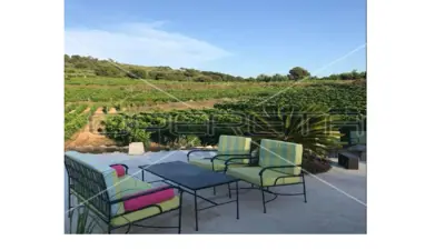 Agricultural estate on the island of Vis, 27,234 m² and restaurant - 6