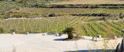 Agricultural estate on the island of Vis, 27,234 m² and restaurant - 10